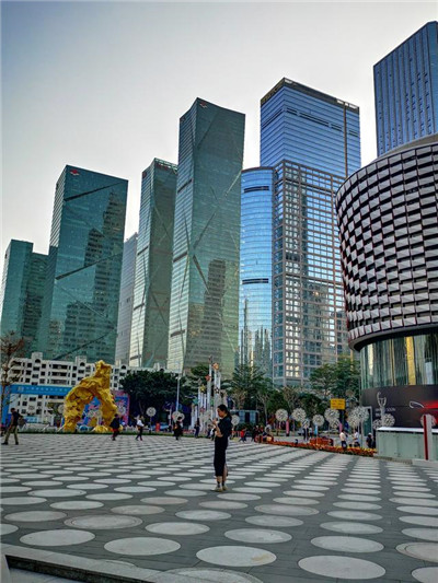 寻觅正宗茶叶？拨打广州茶叶专线电话获取帮助